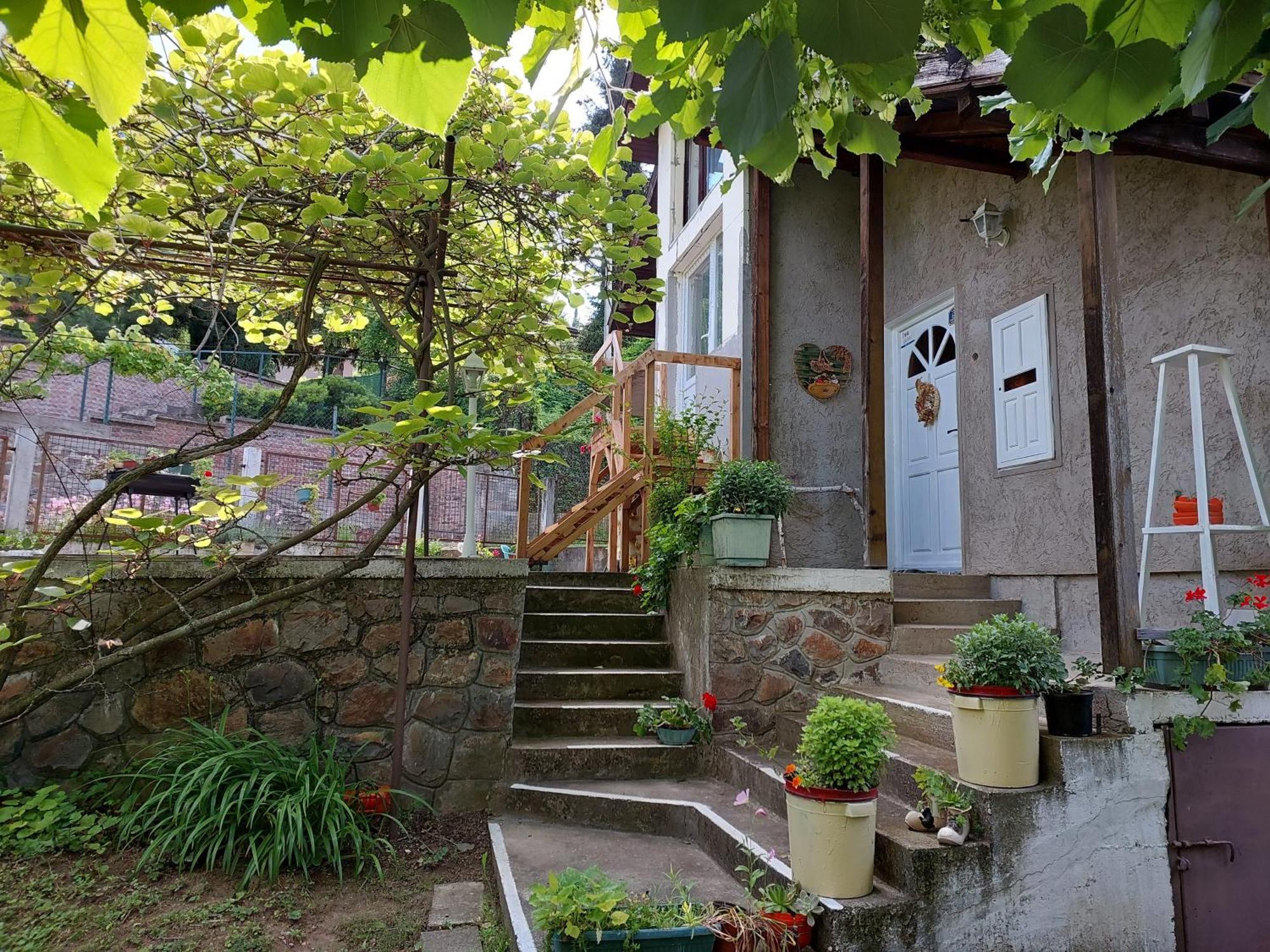 Apartman Nikola Rakovac Buitenkant foto