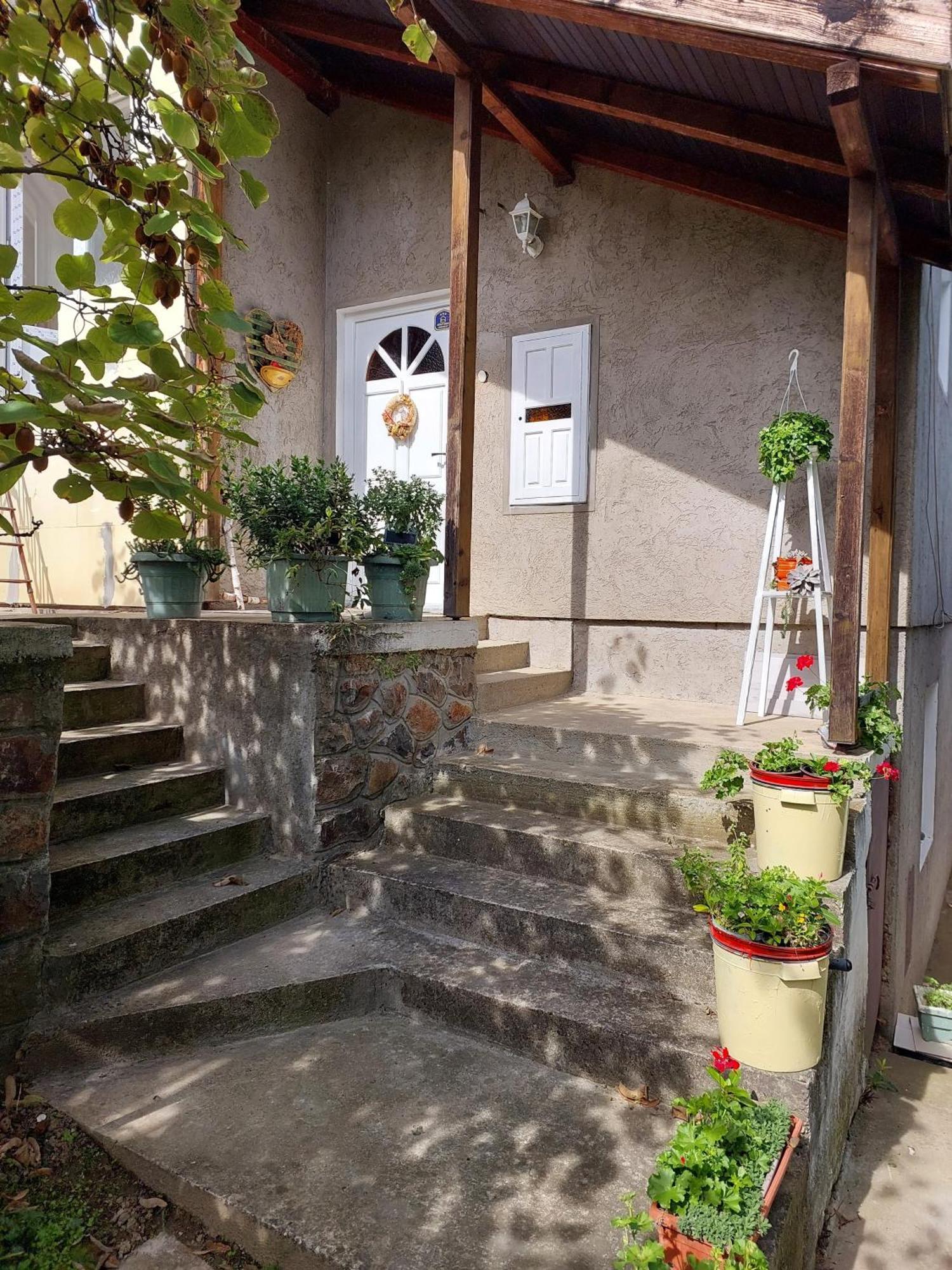 Apartman Nikola Rakovac Buitenkant foto